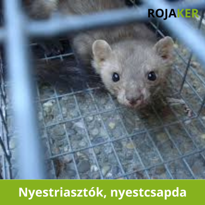 Rojaker - A kártevők elleni védekezés áruháza