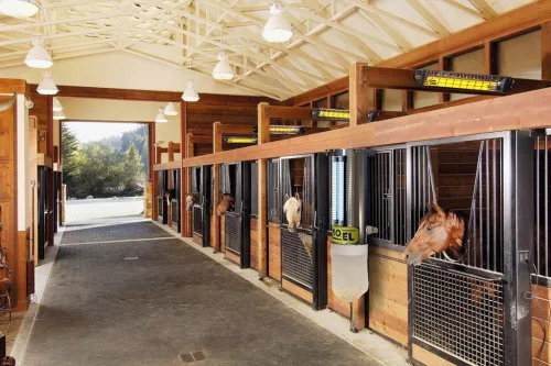 MOEL Turbine mezőgazdasági rovarcsapda