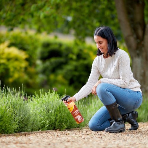 The Big Cheese macska-kutya távoltartó spray, 1L.
