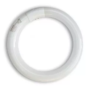 Synergetic TGX22 kör alakú rovarcsapda fénycső – 22W